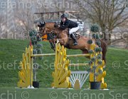 Duffy Grand Balou TosTour2013- S5 2842 : Arezzo, Arezzo Equestrian Centre, Duffy Alex, Grand Balou, Toscana Tour 2013, foto di Stefano Secchi ©